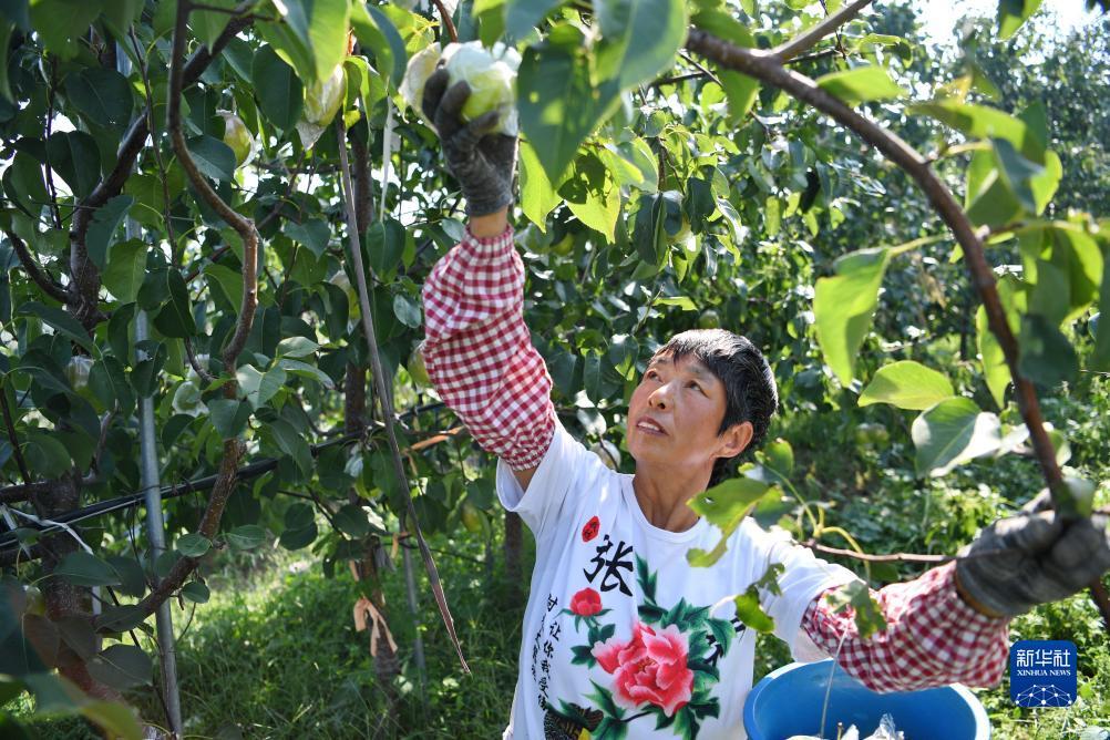微乐斗地主电脑版下载八喜牌新连炸
