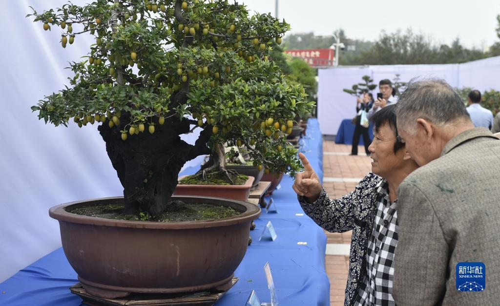 巴厘岛平台登录地址